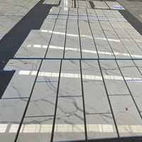 Carrelage en marbre blanc Calacatta de haute qualité pour le revêtement des sols, des murs, des escaliers