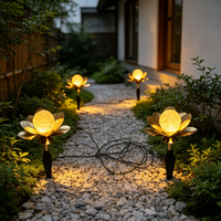 Lampes solaires de jardin à allumage automatique, étanches, LED, décoratives en forme de toucan, avec globe en verre craquelé pour parterres de fleurs et allées