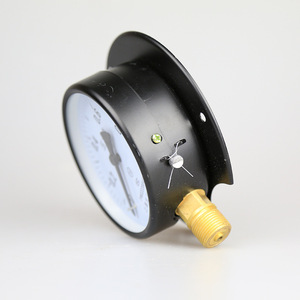 Tianchuan Pressure <b>Gauge</b> Y100T 100mm Radial 1.6MPa Accuracy <b>Vacuum</b> Air Water Pressure Measurement - Product Image 2