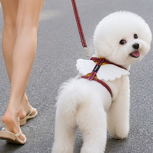 Correa Serie Wings, con Gancho para el Pecho, Estilo Chaleco, para Perros Grandes, Medianos y Pequeños, Correa para Pasear Perros, Cadena para Perros - Product Image 2