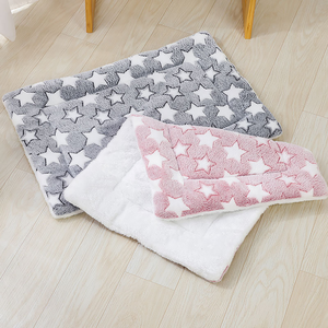 Couverture pour animaux de compagnie écologique toutes saisons, double couche, épaisse, double face, en peluche, chaude, pour chien et chat, motif dessin animé moderne - Product Image 3