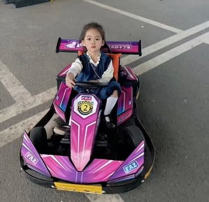 Electric <strong>Go</strong>-<strong>Karts</strong> Cart Cost-Effective Electric <strong>Go</strong> Karting Car Battery Pedal Karting Club Off Road <strong>Go</strong> <strong>Kart</strong> - Product Image 4