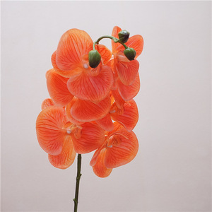 Zhuoou 7 Têtes Artificielle Real Touch Latex Orchidée Fleur En Gros Orchidées Artificielles <span class=keywords><strong>Phalaenopsis</strong></span> <span class=keywords><strong>Dendrobium</strong></span> Latex fleurs décor - Product Image 3