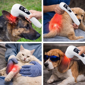 เครื่องเลเซอร์บำบัดสัตว์แบบพกพา 808 นาโนเมตร 650 นาโนเมตร สำหรับอาการปวดข้อและการรักษาบาดแผลของสัตว์เลี้ยง - Product Image 5