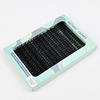 Faux cils segmentés thermofusibles 110Dd, 14 rangées, grande capacité, style européen et américain, courbés et épais, pour l'exportation