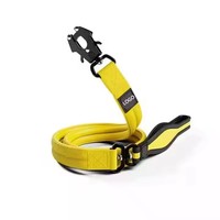 Laisse pour chien en nylon avec boucle mousqueton métallique, doublure en caoutchouc chloroprène et poignée souple – Vente directe