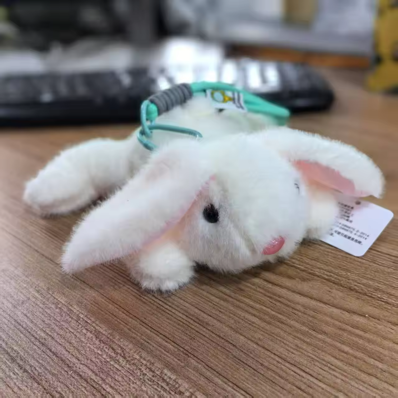 lapin