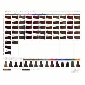 Feiqu OEM ODM Private Label Over 2000+ Color Hair Color Swatch Chart Book With Best Quality Shinny Materials