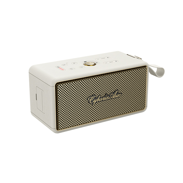 T21  Home Speaker, Loud Stereo Sound with Bass and Treble Controls, Plug-in Powered, 3.5mm Aux Input for Birthday Gift