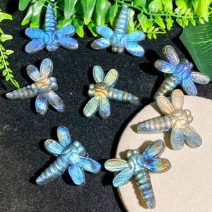 Bán buôn tinh thể tự nhiên đá màu xanh Flash Labradorite pha lê Labradorite chuồn chuồn khắc để trang trí - Product Image 2