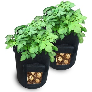 Conception spéciale personnalisée taille fenêtre rabat <span class=keywords><strong>sac</strong></span> de <span class=keywords><strong>culture</strong></span> pour la patate douce - Product Image 1
