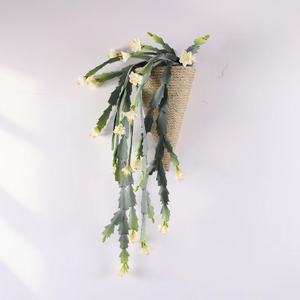 <span class=keywords><strong>Cactus</strong></span> Epiphyllum Artificiale da Parete <span class=keywords><strong>in</strong></span> Vaso Conico Intrecciato, Decorazione di Orchidea <span class=keywords><strong>Cactus</strong></span> Finta Pendente - Product Image 1