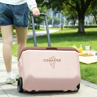 Glacière portable à roulettes ICEMASTER 39L, double isolation froid/chaud, longue durée de conservation de la glace pour le camping, la pêche, les pique-niques