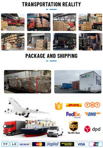 中国最佳货运代理 海运 快速清关 FedEx/DHL/UPS 门到门服务，中国到澳大利亚 - Product Image 3