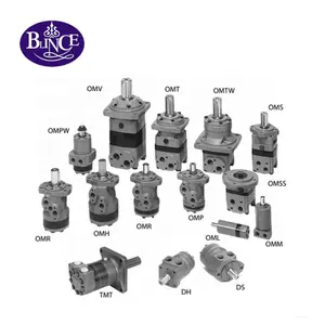 Blince Personalizado OEM OMR BMR OMRS OMP OMV Rexroth White Eaton Parker Pequena órbita de alta velocidade Motores hidráulicos para vassoura