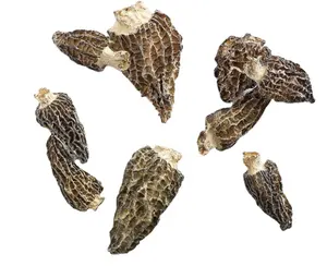 Jamur Morchella dapat dimakan china budidaya 2 ~ 4cm batang menghilangkan jamur kering Morchella deliciosa jamur mulia