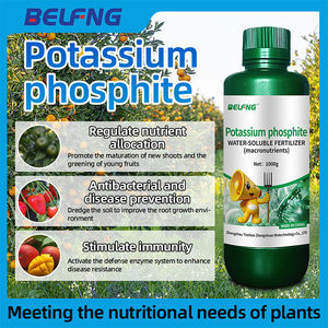 Phosphite de <span class=keywords><strong>potassium</strong></span>, <span class=keywords><strong>engrais</strong></span> hydrosoluble <span class=keywords><strong>riche</strong></span> <span class=keywords><strong>en</strong></span> <span class=keywords><strong>phosphore</strong></span> <span class=keywords><strong>et</strong></span> <span class=keywords><strong>en</strong></span> <span class=keywords><strong>potassium</strong></span>, macronutriments essentiels - Product Image 2
