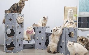 บ้านสัตว์เลี้ยงในร่มในเทศกาลคริสต์มาสเตียงแมวที่อบอุ่นถอดออกได้ประกอบง่ายการออกแบบพับได้โดยมีกระดานลับเล็บในตัว - Product Image 5