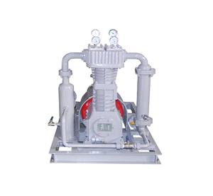 Compresor de Gas Natural Pequeño de Conversión de Frecuencia con Lubricación Sin Aceite Recíproca de Correa BT4, Tipo Refrigerado por Aire - Product Image 4