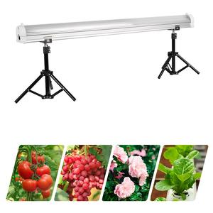 Puces LED personnalisées, éclairage de culture LED, spectre complet, gradation, éclairage de culture supplémentaire pour serre, agriculture verticale multicouche - Product Image 3