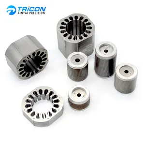 Bán buôn tùy chỉnh phân đoạn công suất cao động cơ cảm ứng Stator rotor Cán dập