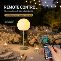 Lampe de table moderne et amusante en fer PE RGB avec télécommande pour chambre nuptiale, chevet, coiffeuse, lumière d'ambiance décorative