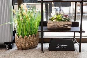 [OWLTRA] Trampa para Ratones Eficaz de Eliminación Rápida, Sensible, Control de Roedores, Ratones Pequeños y Grandes, Trampa de Presión, Trampa Resistente para Ratas Grandes - Product Image 3