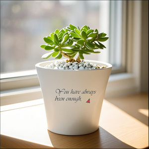 Commercio all'ingrosso <span class=keywords><strong>di</strong></span> piccole <span class=keywords><strong>piante</strong></span> <span class=keywords><strong>di</strong></span> plastica succulente alla rinfusa dal vivo disposizioni succulente per uso domestico e giardino - Product Image 4