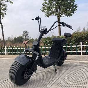 Leoncitycoco Scooter gyroscopique à deux roues Scooter électrique 800W Scooter Citycoco - Product Image 6