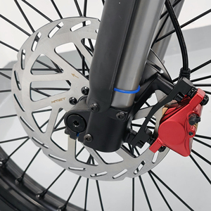 Envío desde Almacén en EE. UU., Motocicleta Profesional de Motocross sin Escobillas con Frenos Hidráulicos, Velocidad de 61-80 km/h - Product Image 3