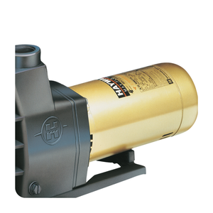Centrifugal <strong>Pumps</strong> Self-Priming Inground Swimming <strong>Pool</strong> <strong>Water</strong> <strong>Pump</strong> - Product Image 4