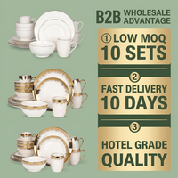 Lot de 16 pièces de vaisselle en porcelaine fine neuve pour hôtels, restaurants et traiteurs, bordure dorée, commande en gros, faible MOQ 10 lots