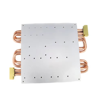 Plaques froides liquides en tube plat en acier inoxydable OEM personnalisées - Marque bw - Garantie 1 an - Prix d'usine