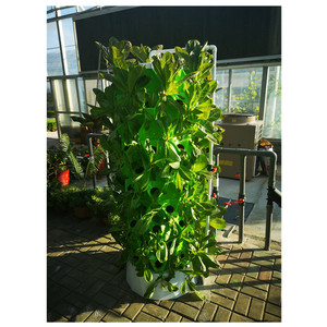 ชุดระบบปลูกพืชไร้ดินระบบการเติบโตของ NFT แบบ microgreen - Product Image 6
