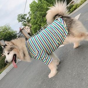 S ~ 6XL <span class=keywords><strong>T</strong></span>-<span class=keywords><strong>shirt</strong></span> à manches en gros vêtements <span class=keywords><strong>golden</strong></span> <span class=keywords><strong>retriever</strong></span> vêtements d'é<span class=keywords><strong>t</strong></span>é grand grand chien - Product Image 1