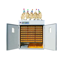 Incubateur à œufs de poulet populaire, technologie 220V-240V 50HZ, machine d'éclosion en vente