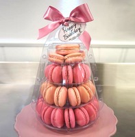Tour à macarons miniature à 4 étages avec étui de transport
