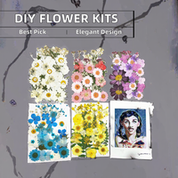 Vente flash : Kits de fleurs séchées pressées pour Halloween, diverses créations artistiques DIY, scrapbooking, résine époxy, moules à bijoux, bougies/savons