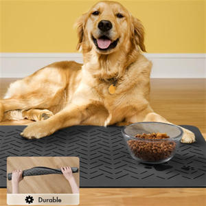 Sneldrogende Koeling Siliconen Diatomeeënmoddermat Absorberende Spatbestendige Kat En Hond Eten Mat Voor Huisdieren - Product Image 3