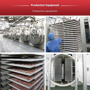 Hữu cơ giàu protein đông khô gà vú vịt thịt trứng lòng đỏ xử lý cho mèo không chất bảo quản an toàn cho vật nuôi - Product Image 4