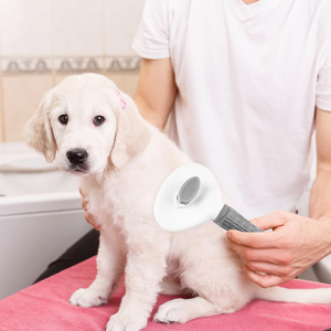 Peignes de toilettage écologiques en gros, outils de massage pour chiens et peignes pour poils de chat - Product Image 6