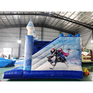Castillo Inflable Azul Personalizado para Niños Pequeños, Casa de Brinco, Parque Infantil al Aire Libre, Castillo Inflable Combinado - Product Image 4