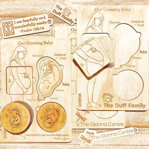 Puzzle en bois sur le cycle de croissance fœtale, jeu éducatif pour bébé sur le processus de <span class=keywords><strong>grossesse</strong></span>, apprentissage cognitif précoce, vulgarisation scientifique, jouet d'apprentissage - Product Image 2
