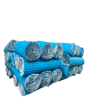 Géocomposite Feuille de drainage en plastique alvéolée de couleur noire Géocomposite (Géotextile + HDPE Feuille de drainage + Géotextile)