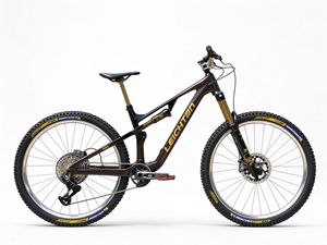 จักรยานเสือภูเขา LEICHTEN 29er Enduro แบบ Full Suspension คาร์บอนไฟเบอร์ พร้อมโช้ค RockShox Psylo และยาง Maxxis <span class=keywords><strong>Minion</strong></span> DHF สำหรับปั่นออฟโรด - Product Image 6