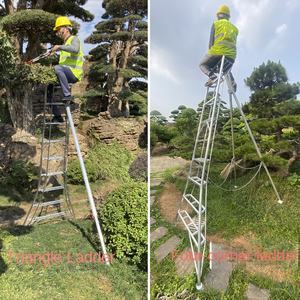 Modern tasarım kalınlaşmış katlanır alüminyum alaşımlı merdiven balıksırtı üçgen merdiven için kapalı bahçe meyve bahçeleri - Product Image 3