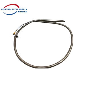 Express Worldwide Bently Nevada 330905-00-25-05-01-CN Sondas de proximidad - Product Image 6