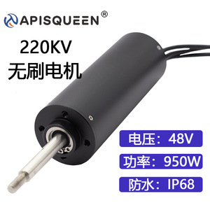 Apisqueen 48V 950W Brushless Motor 50110 220KV Waterproof IP68 For Underwater Drone Thruster - Product Image 5