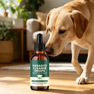 Gocce Liquide Naturali a Base Vegetale <span class=keywords><strong>per</strong></span> il Supporto Intestinale degli Animali Domestici, Cura Quotidiana dell'Intestino <span class=keywords><strong>per</strong></span> <span class=keywords><strong>Cani</strong></span> - Product Image 3