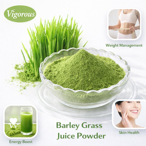 Échantillons Gratuits de Poudre de Jus d'Herbe d'<span class=keywords><strong>Orge</strong></span> Pure de Bonne Qualité pour la Santé - Product Image 1